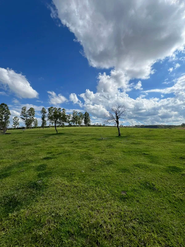 Sítio em São Sebastião do Paraíso/Minas Gerais — Ref IJYFE6 — Imagem 3