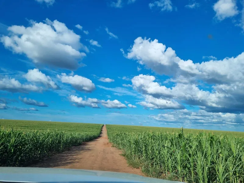 Fazenda em Fernando Falcão/Maranhão — Ref NGKPK5 — Imagem 2
