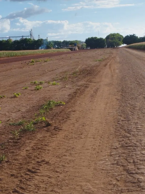 Fazenda em Fernando Falcão/Maranhão — Ref NGKPK5 — Imagem 4