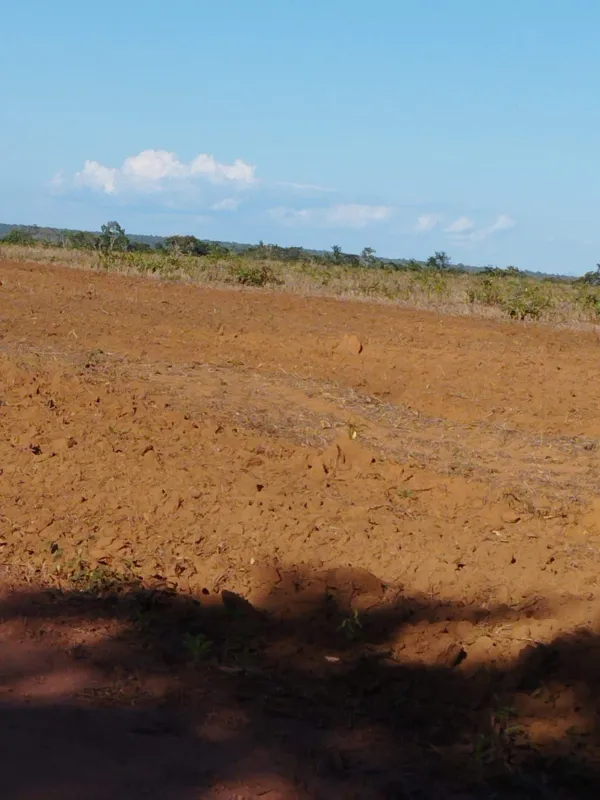 Fazenda em Fernando Falcão/Maranhão — Ref NGKPK5 — Imagem 5