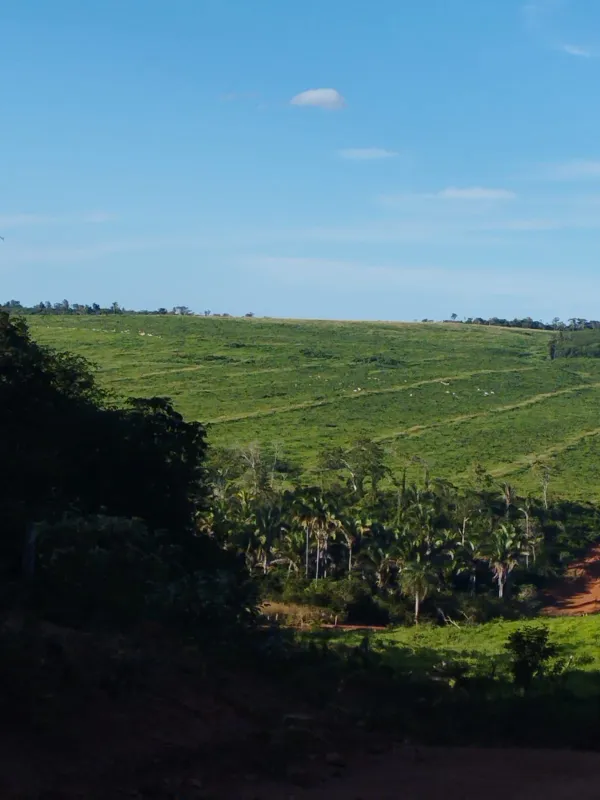 Fazenda em Fernando Falcão/Maranhão — Ref NGKPK5 — Imagem 8