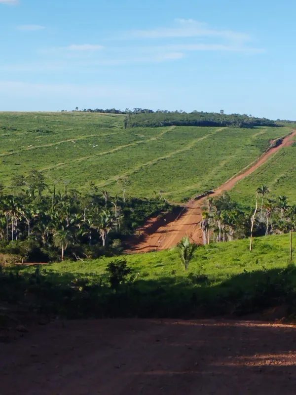 Fazenda em Fernando Falcão/Maranhão — Ref NGKPK5 — Imagem 10