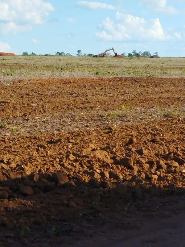 Fazenda em Fernando Falcão/Maranhão — Ref NGKPK5 — Imagem 12