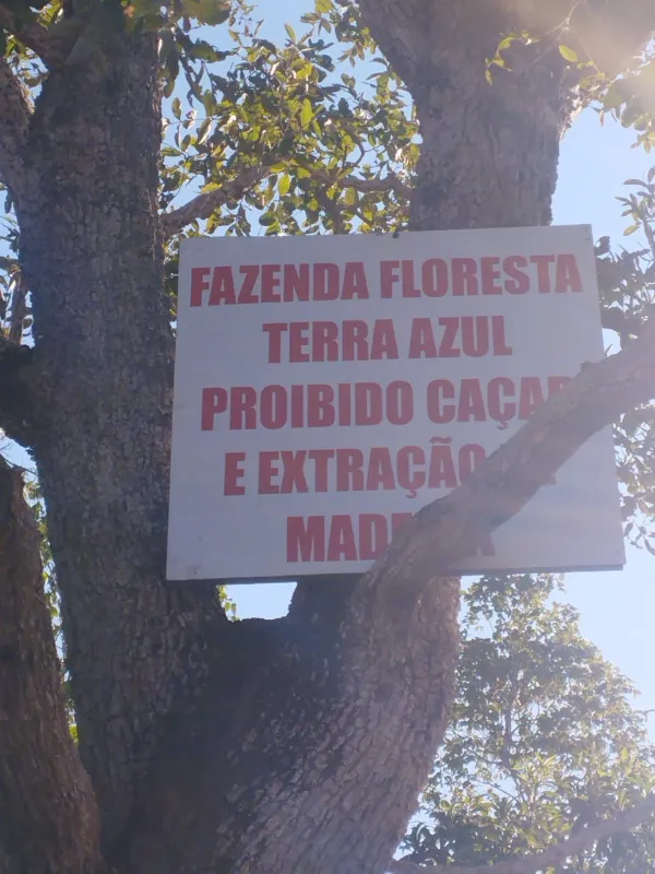 Fazenda em Fernando Falcão/Maranhão — Ref NGKPK5 — Imagem 16