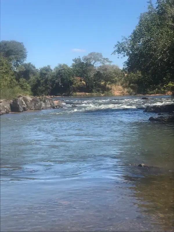 Fazenda em Israelândia/Goiás — Ref 8MVWDL — Imagem 5