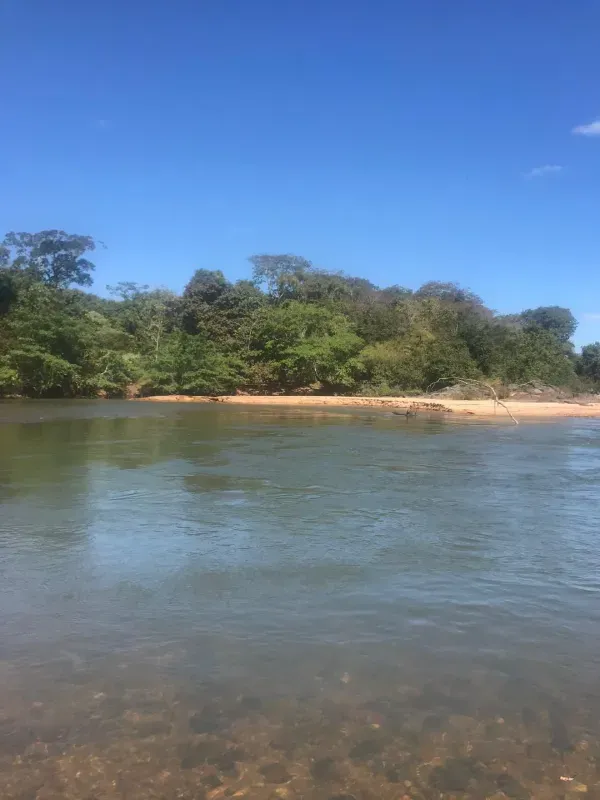 Fazenda em Israelândia/Goiás — Ref 8MVWDL — Imagem 14