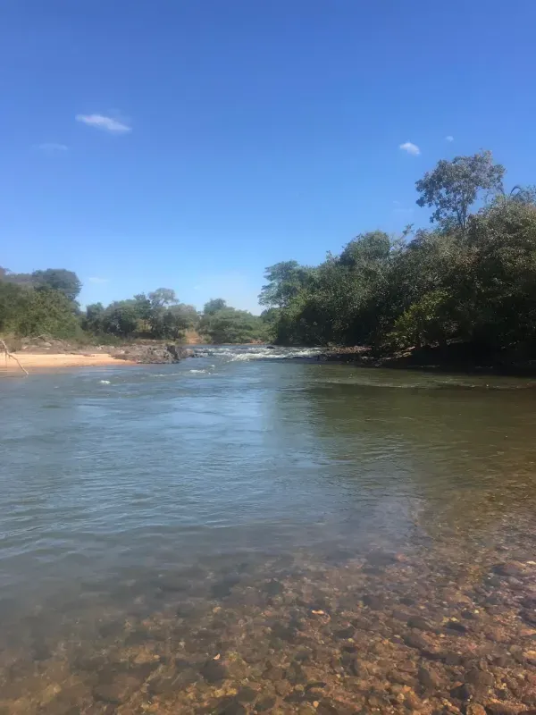Fazenda em Israelândia/Goiás — Ref 8MVWDL — Imagem 15
