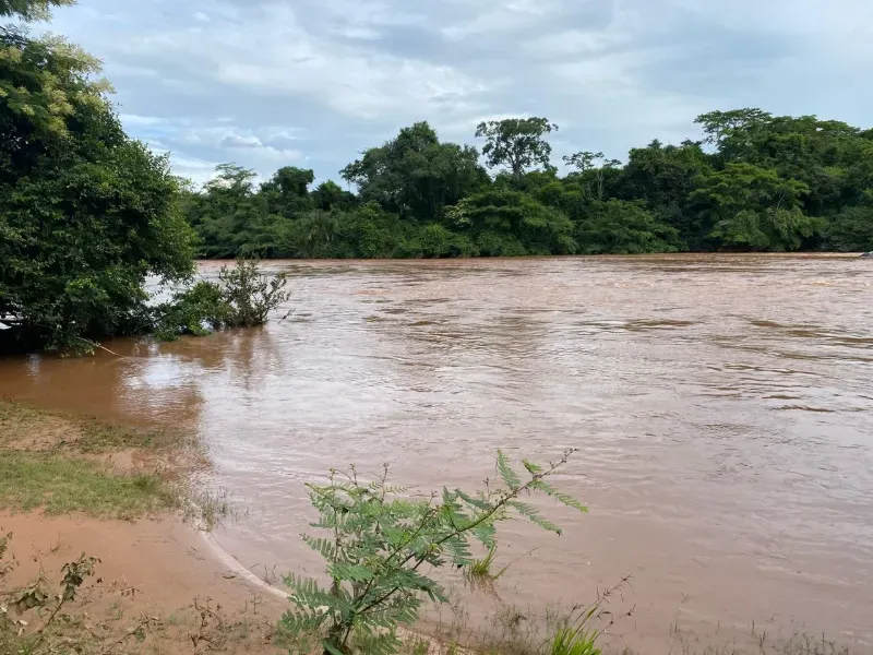 Fazenda em Israelândia/Goiás — Ref 8MVWDL — Imagem 18