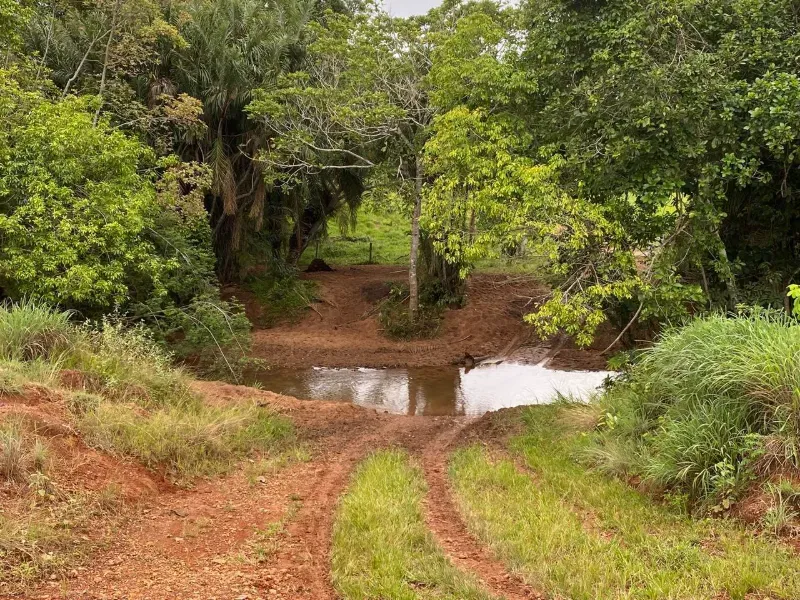 Fazenda em Israelândia/Goiás — Ref 8MVWDL — Imagem 21