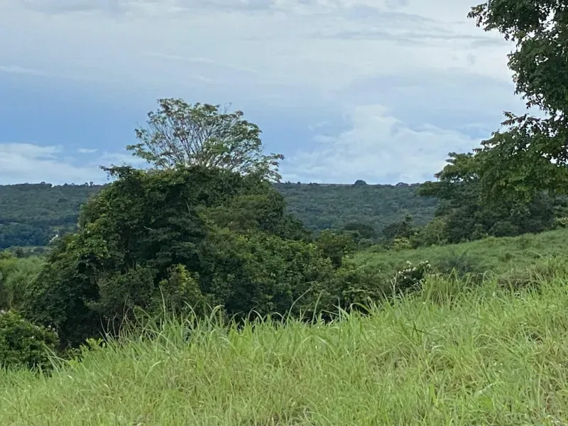 Fazenda em Israelândia/Goiás — Ref 8MVWDL — Imagem 22