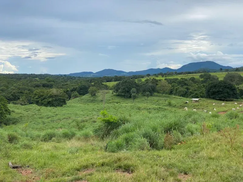 Fazenda em Israelândia/Goiás — Ref 8MVWDL — Imagem 26