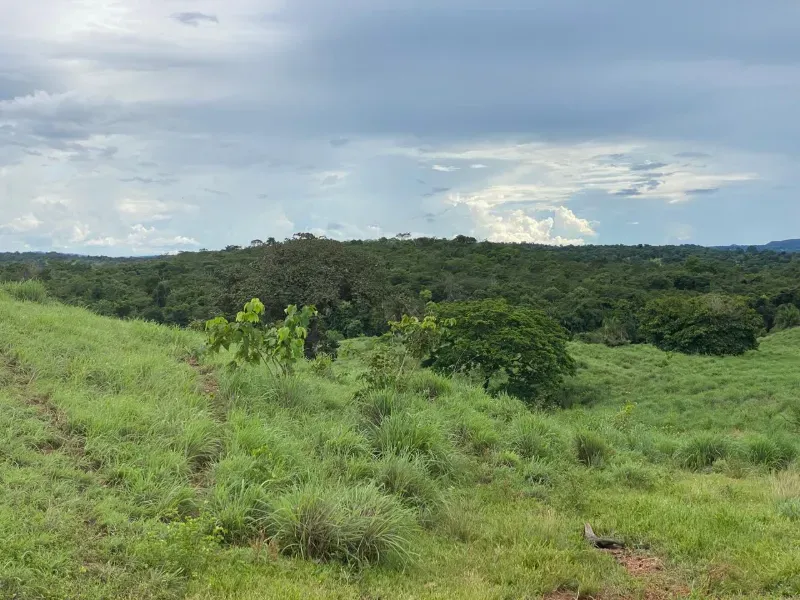 Fazenda em Israelândia/Goiás — Ref 8MVWDL — Imagem 27