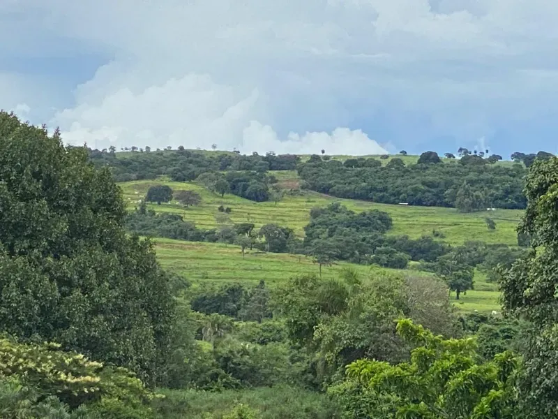 Fazenda em Israelândia/Goiás — Ref 8MVWDL — Imagem 28