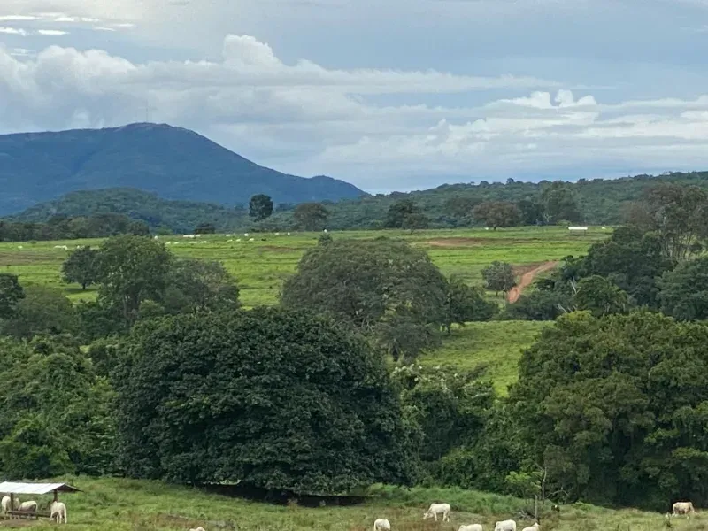 Fazenda em Israelândia/Goiás — Ref 8MVWDL — Imagem 29