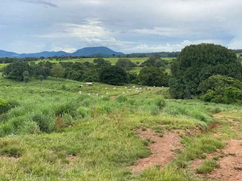 Fazenda em Israelândia/Goiás — Ref 8MVWDL — Imagem 30