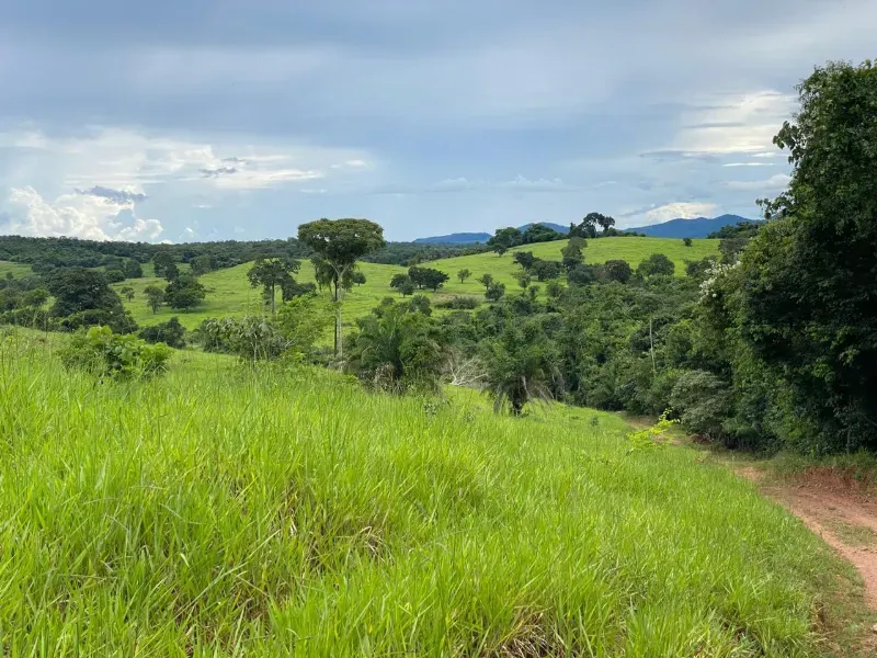 Fazenda em Israelândia/Goiás — Ref 8MVWDL — Imagem 31