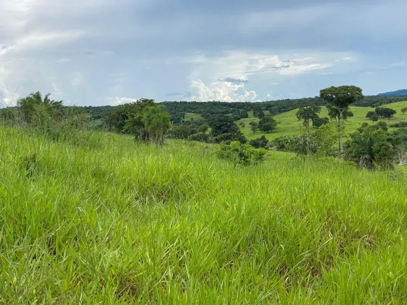 Fazenda em Israelândia/Goiás — Ref 8MVWDL — Imagem 32