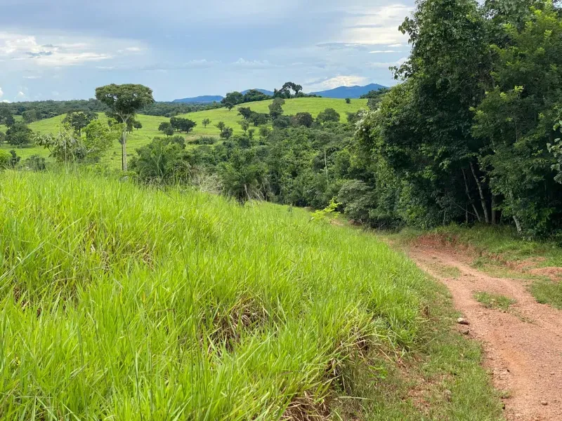 Fazenda em Israelândia/Goiás — Ref 8MVWDL — Imagem 33