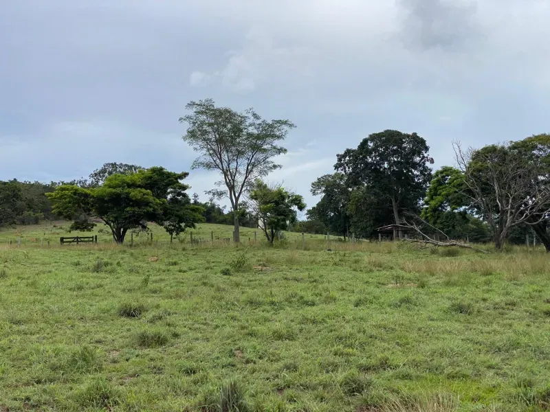 Fazenda em Israelândia/Goiás — Ref 8MVWDL — Imagem 36