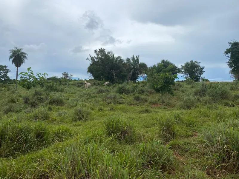 Fazenda em Israelândia/Goiás — Ref 8MVWDL — Imagem 38