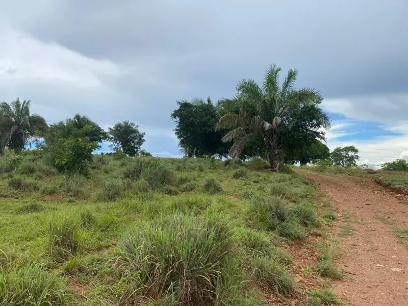 Fazenda em Israelândia/Goiás — Ref 8MVWDL — Imagem 39