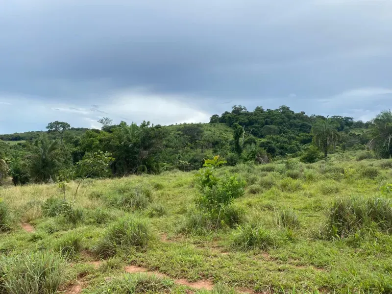 Fazenda em Israelândia/Goiás — Ref 8MVWDL — Imagem 40