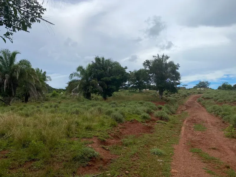 Fazenda em Israelândia/Goiás — Ref 8MVWDL — Imagem 41