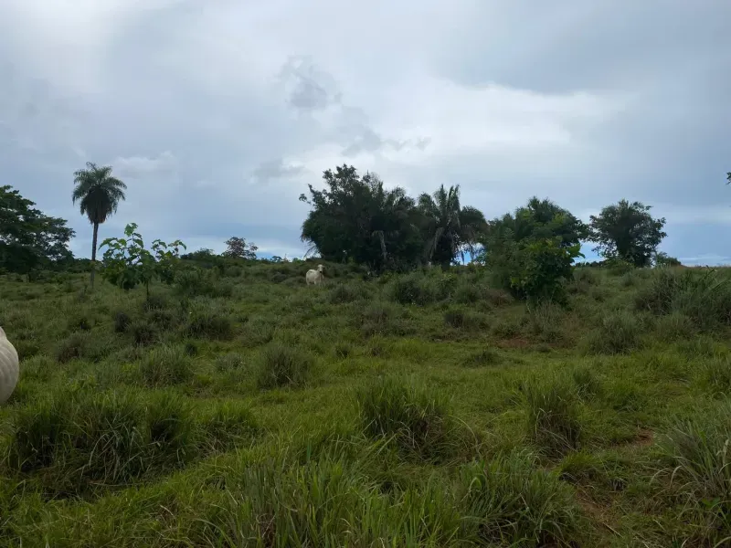Fazenda em Israelândia/Goiás — Ref 8MVWDL — Imagem 42