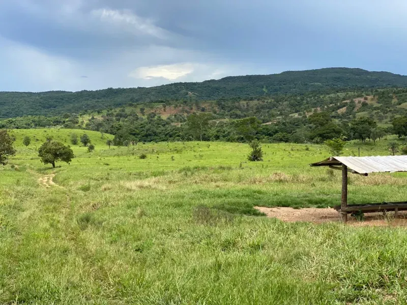 Fazenda em Israelândia/Goiás — Ref 8MVWDL — Imagem 43