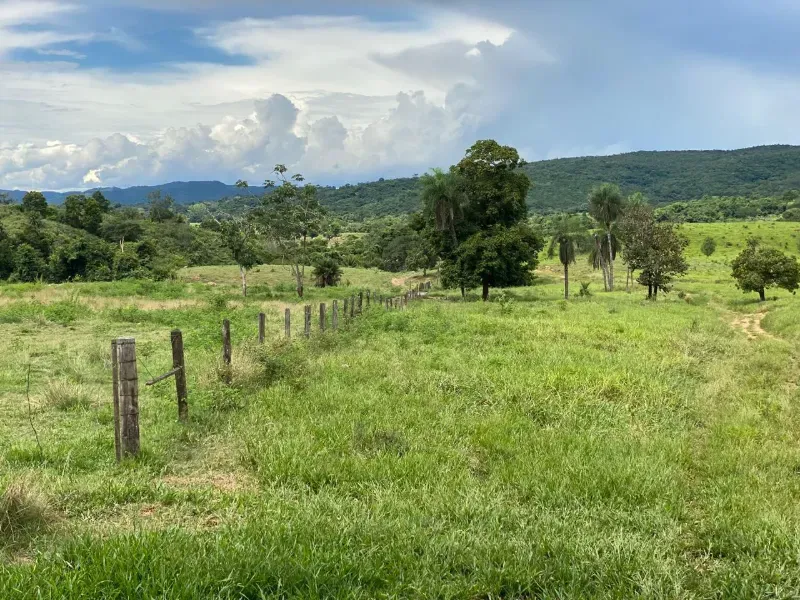 Fazenda em Israelândia/Goiás — Ref 8MVWDL — Imagem 44