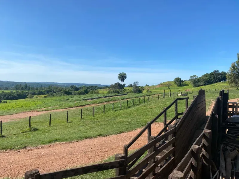 Fazenda em Israelândia/Goiás — Ref 8MVWDL — Imagem 46