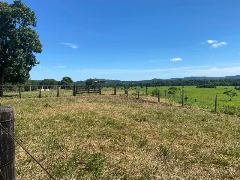 Fazenda em Israelândia/Goiás — Ref 8MVWDL — Imagem 47