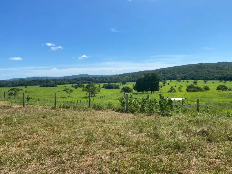 Fazenda em Israelândia/Goiás — Ref 8MVWDL — Imagem 48
