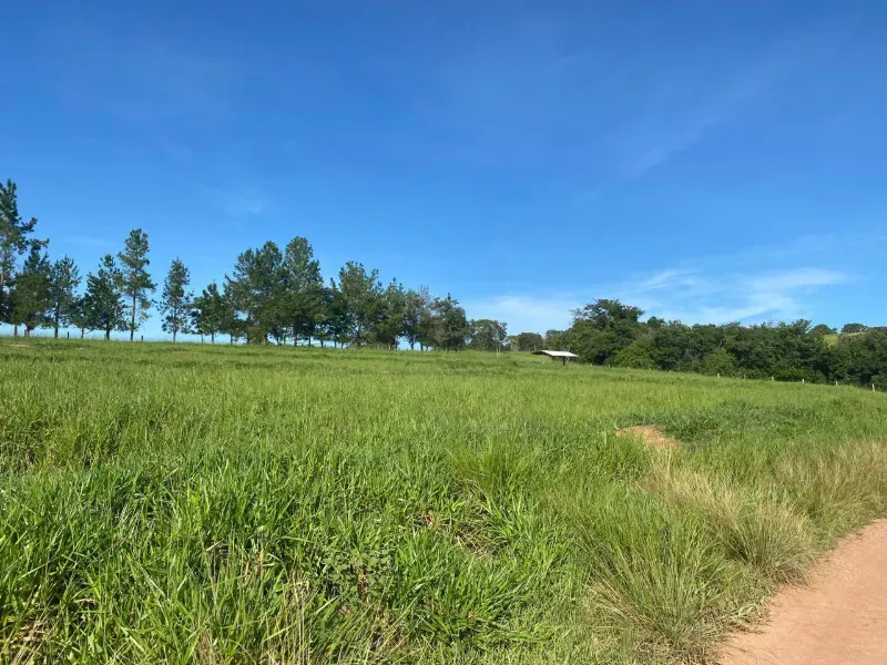 Fazenda em Israelândia/Goiás — Ref 8MVWDL — Imagem 51