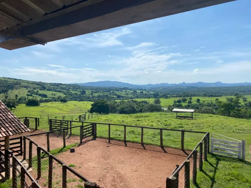 Fazenda em Israelândia/Goiás — Ref 8MVWDL — Imagem 4