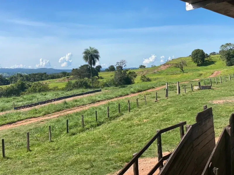 Fazenda em Israelândia/Goiás — Ref 8MVWDL — Imagem 55