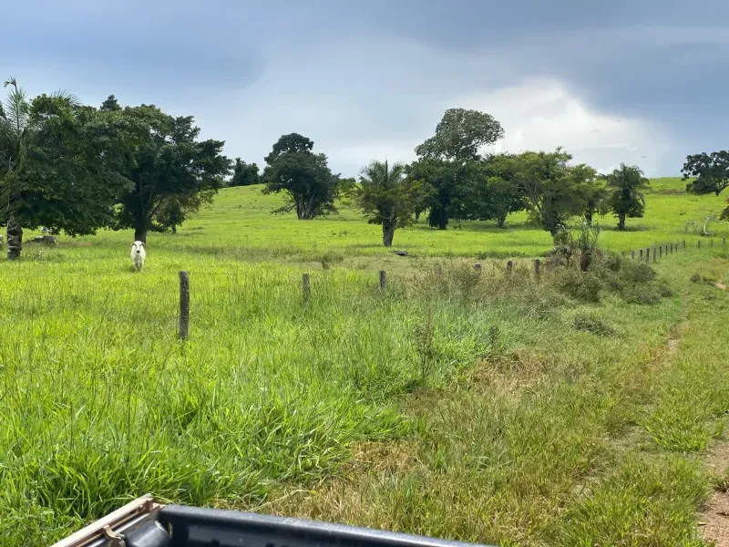 Fazenda em Israelândia/Goiás — Ref 8MVWDL — Imagem 57