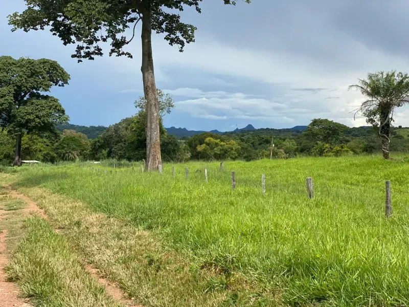 Fazenda em Israelândia/Goiás — Ref 8MVWDL — Imagem 59