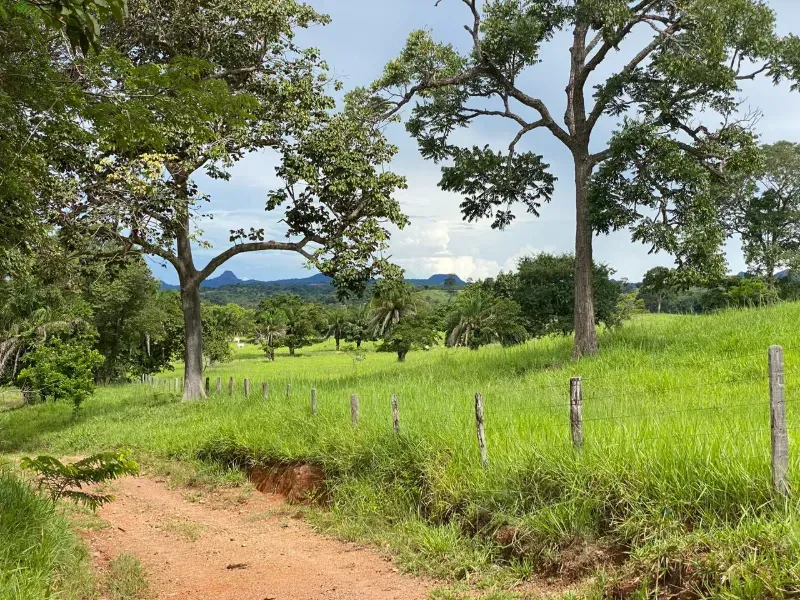 Fazenda em Israelândia/Goiás — Ref 8MVWDL — Imagem 60