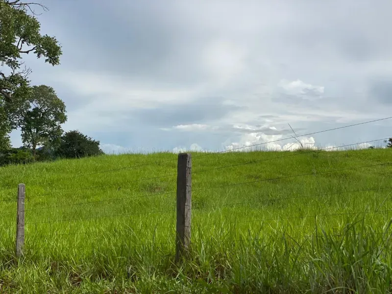 Fazenda em Israelândia/Goiás — Ref 8MVWDL — Imagem 61