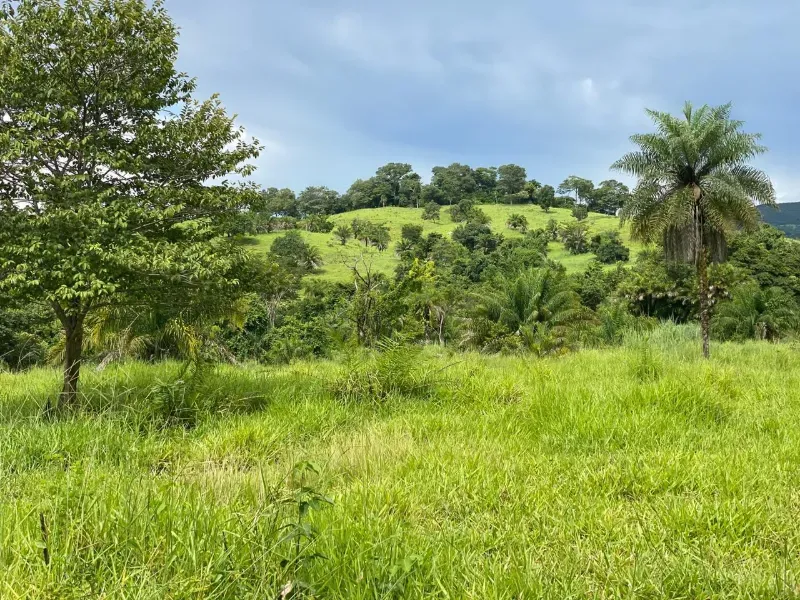 Fazenda em Israelândia/Goiás — Ref 8MVWDL — Imagem 62