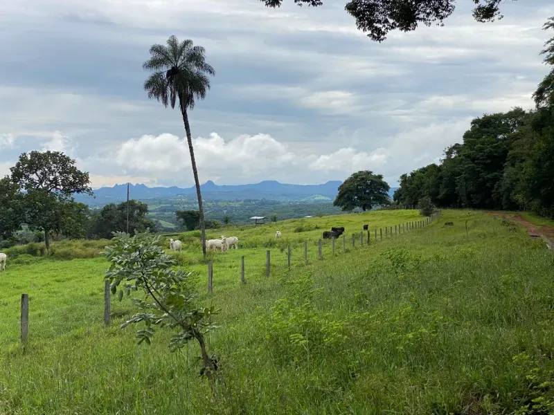 Fazenda em Israelândia/Goiás — Ref 8MVWDL — Imagem 63