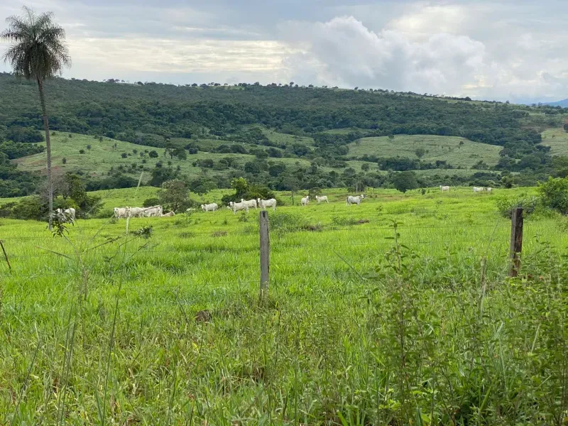 Fazenda em Israelândia/Goiás — Ref 8MVWDL — Imagem 64