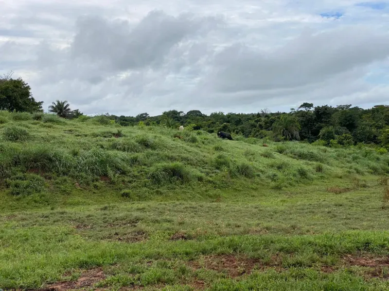 Fazenda em Israelândia/Goiás — Ref 8MVWDL — Imagem 65