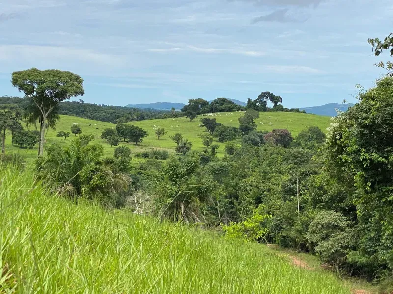 Fazenda em Israelândia/Goiás — Ref 8MVWDL — Imagem 66