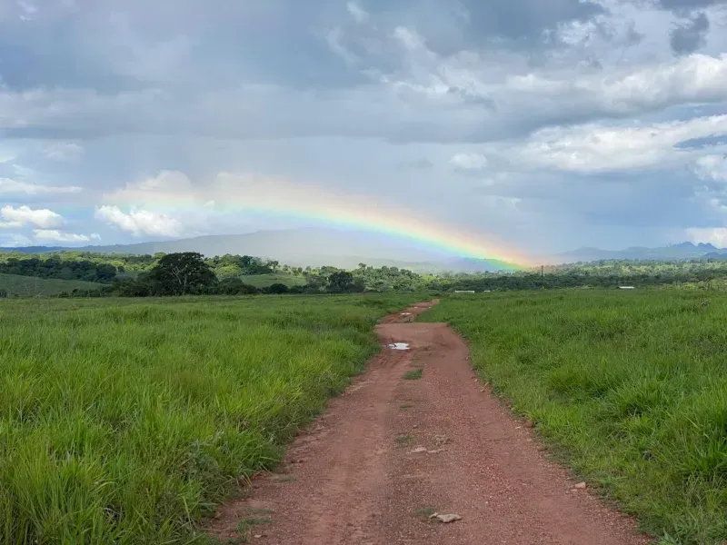 Fazenda em Israelândia/Goiás — Ref 8MVWDL — Imagem 67