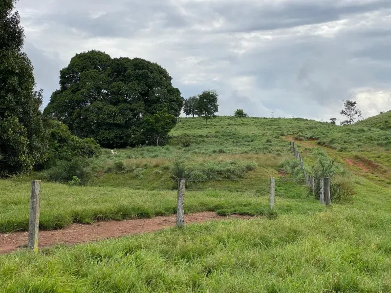 Fazenda em Israelândia/Goiás — Ref 8MVWDL — Imagem 68