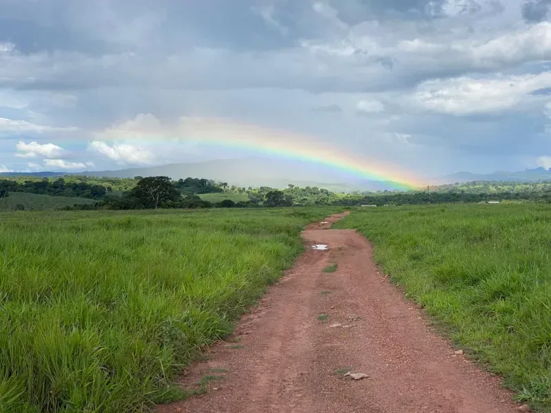 Fazenda em Israelândia/Goiás — Ref 8MVWDL — Imagem 70