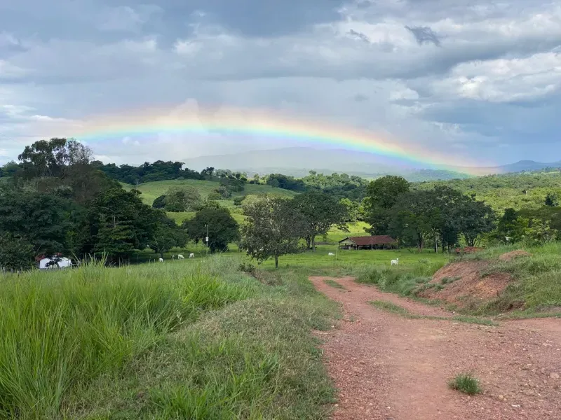 Fazenda em Israelândia/Goiás — Ref 8MVWDL — Imagem 71