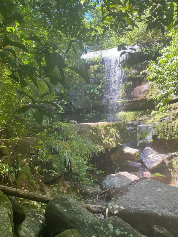 Fazenda em Israelândia/Goiás — Ref 8MVWDL — Imagem 72